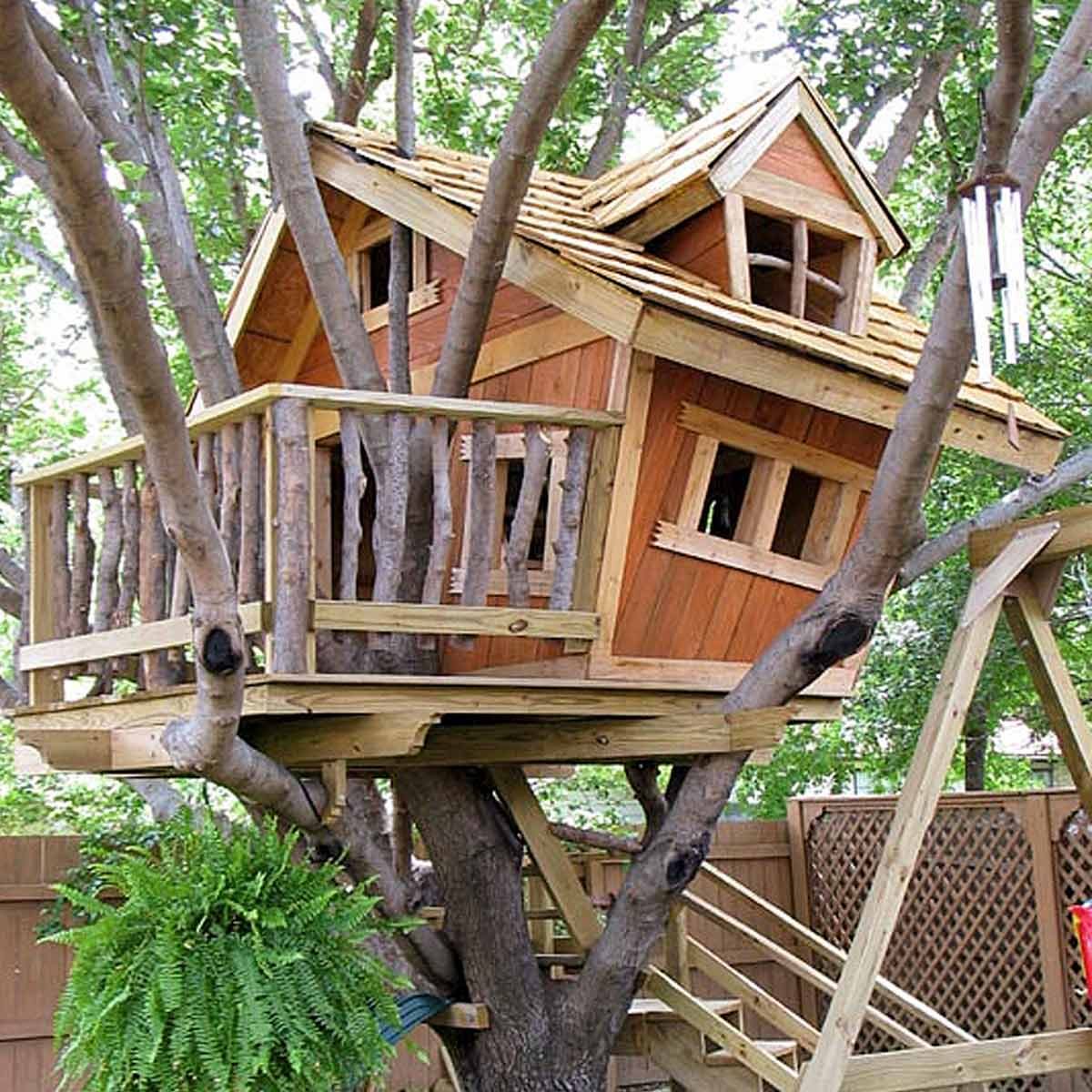 Treehouse1